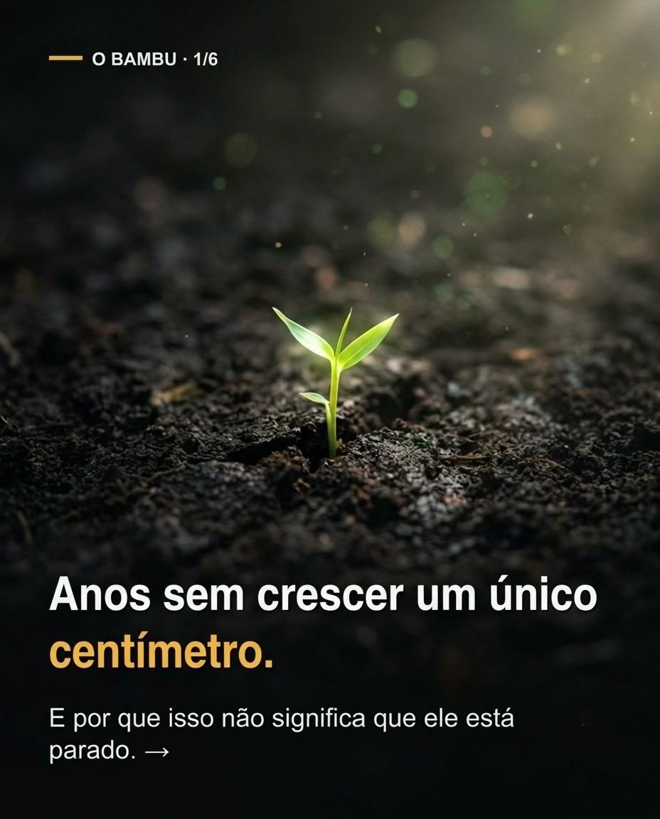 Post 4